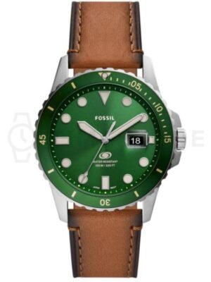2015482-1 Fossil Blue FS5946